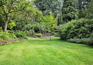 Optimiser l'expérience du jardin à La Fresnaye-au-Sauvage